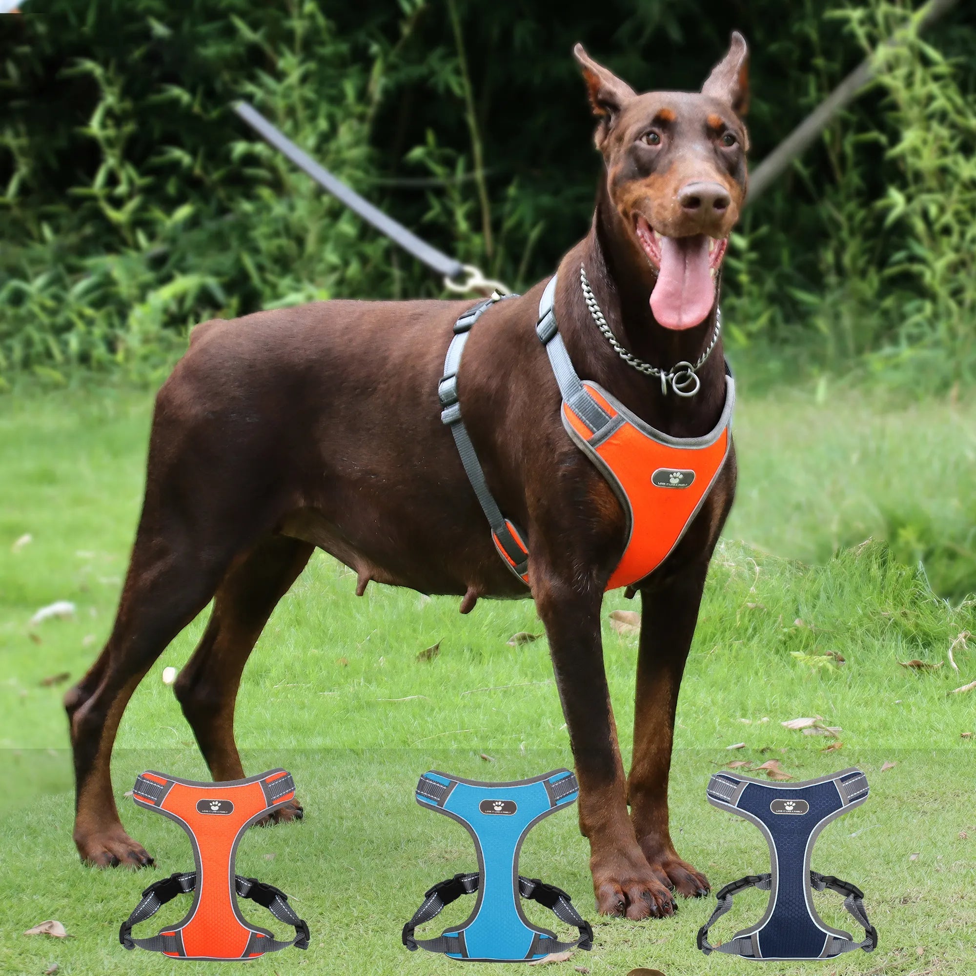 ComfyRide™ Dog Harness Vest