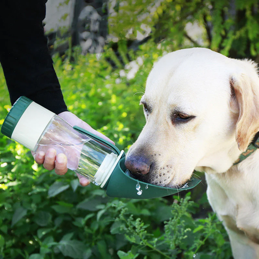 FreshBottle™ - Leaf Shape Dual Purpose Water Bottle for Dogs