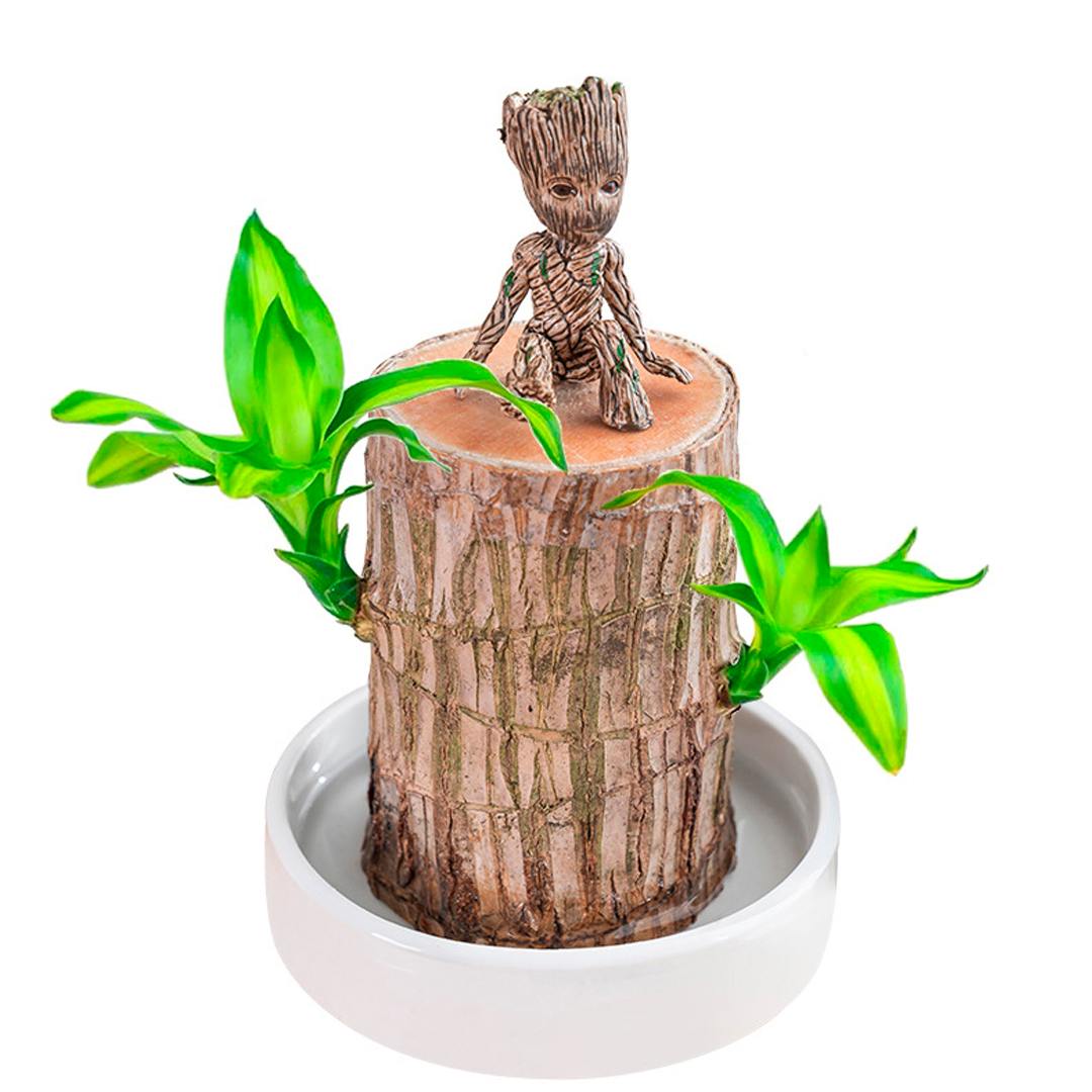 🎉[Special Offer] Get 2 Extra Lucky® Wood Plant for Desk Decoration at 75% Off)🎉