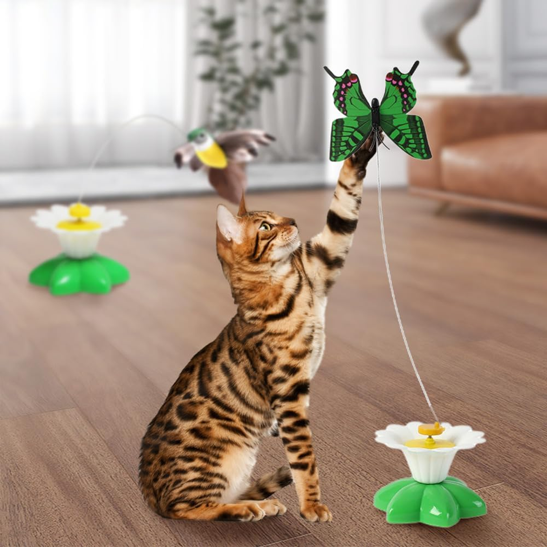 DUVETOY™ Electric Hummingbird Cat Toy.