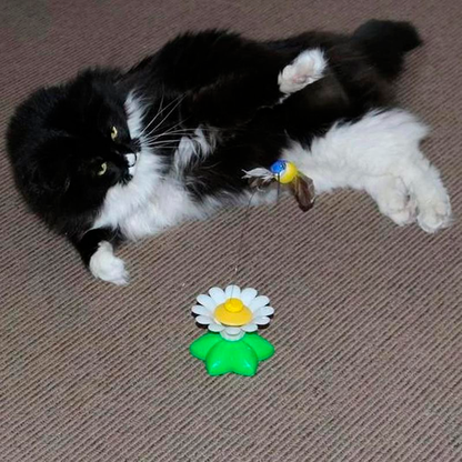 DUVETOY™ Electric Hummingbird Cat Toy.