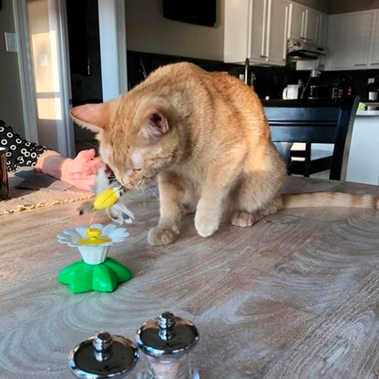 DUVETOY™ Electric Hummingbird Cat Toy