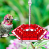 Sweety Hummingbird Feeder