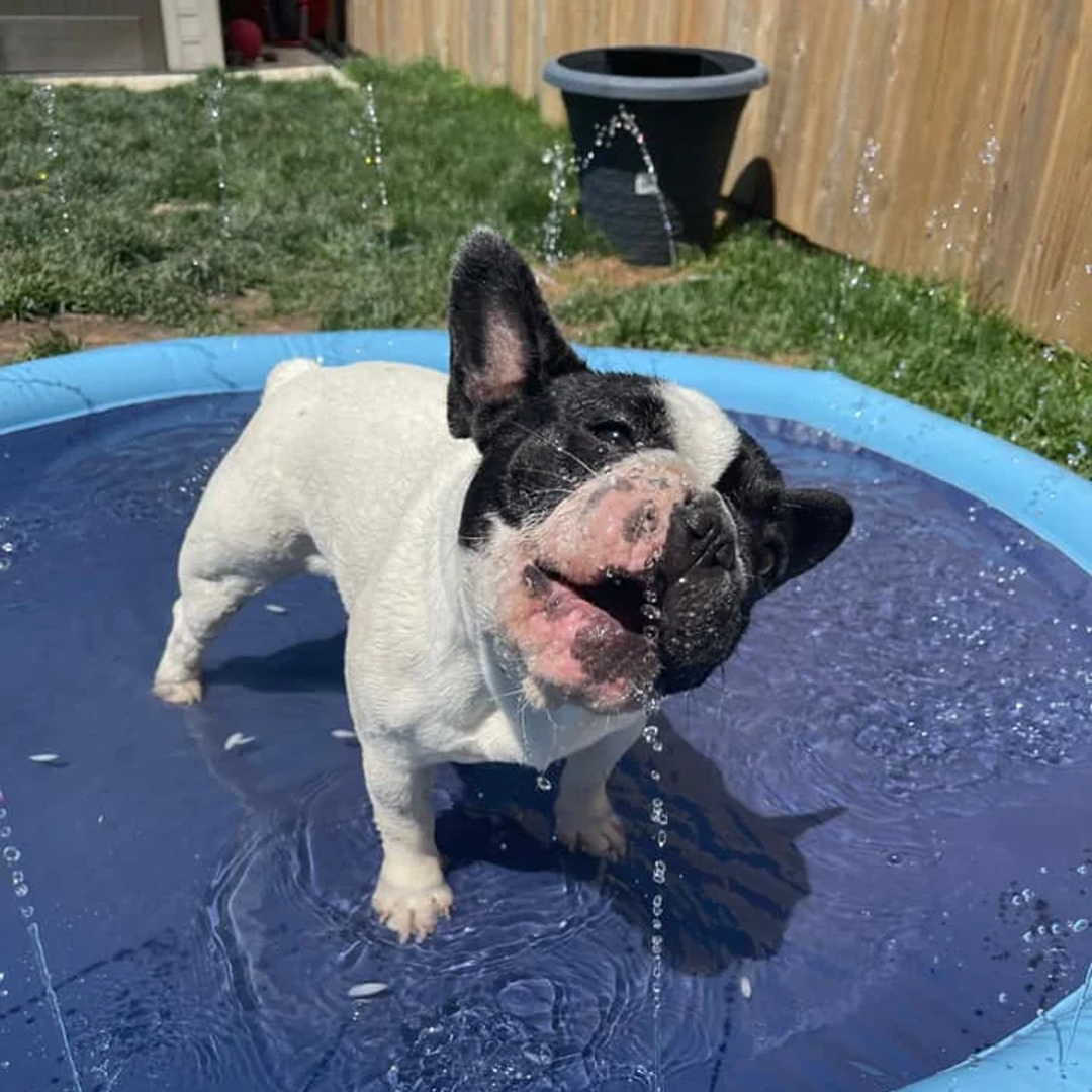 Duvefun® Non-Slip Splash Pad for Kids and Dog