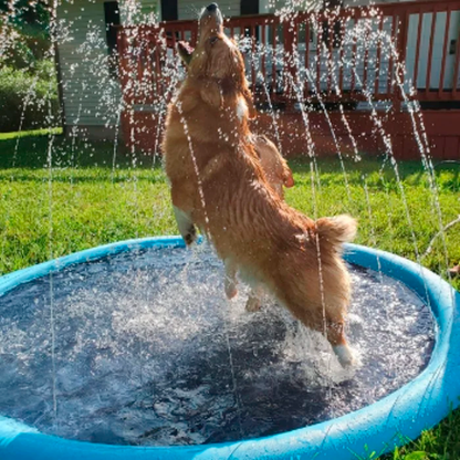 Duvefun® Non-Slip Splash Pad for Kids and Dog