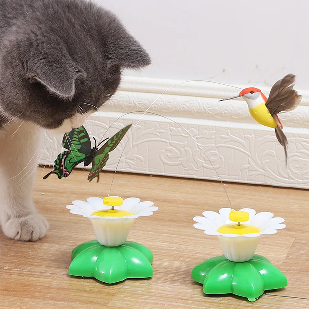 DUVETOY™ Electric Hummingbird Cat Toy