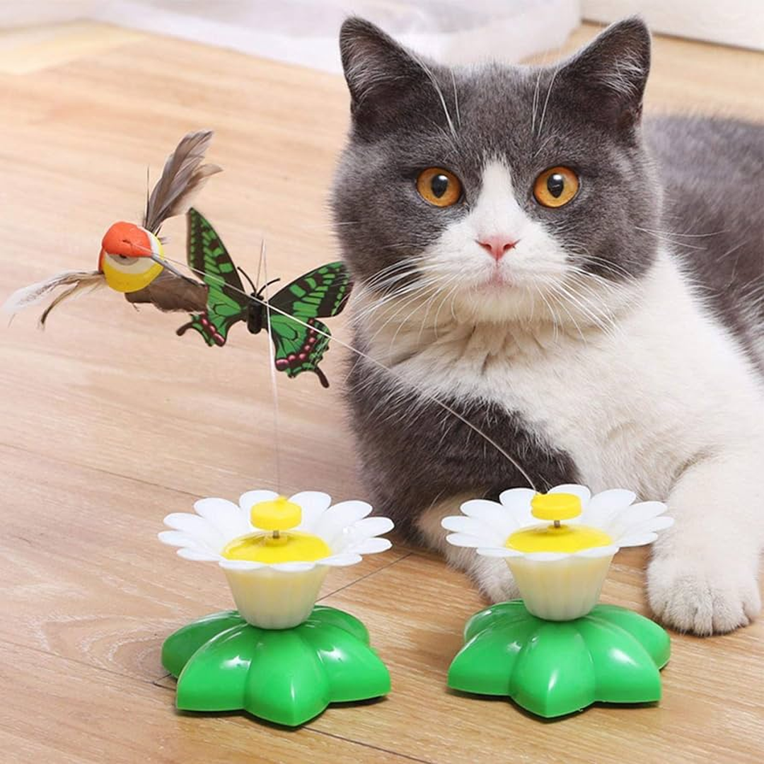 DUVETOY™ Electric Hummingbird Cat Toy