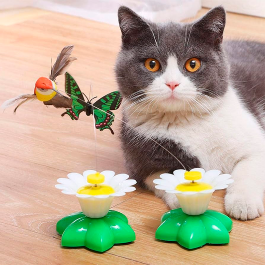 DUVETOY™ Electric Hummingbird Cat Toy