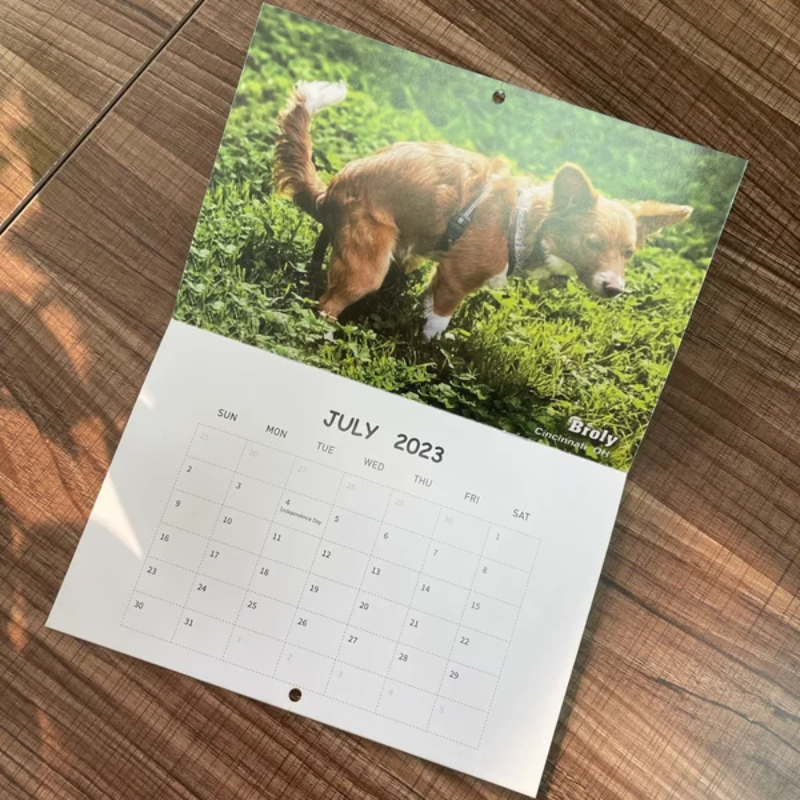 Funny Calendar Gift - Pooping Pooches Dog Calendar