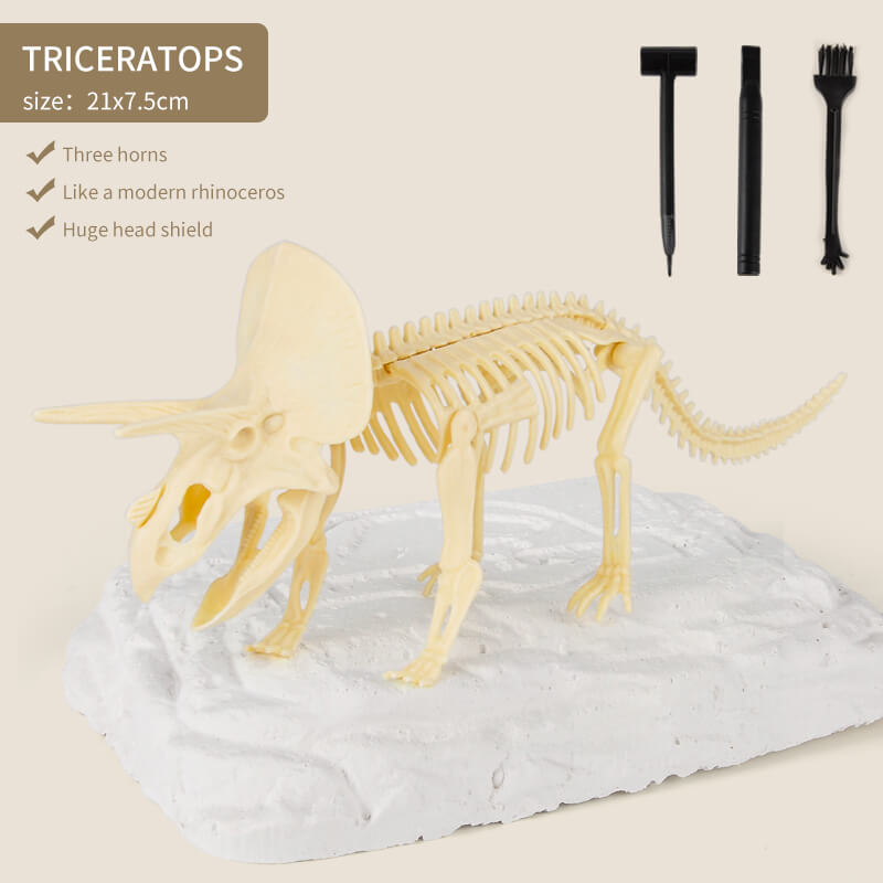 Great Educational Toy for Kids🎁2022 New Arrival Dinosaur Fossil Digging Kit