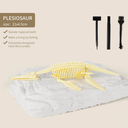 Great Educational Toy for Kids🎁2022 New Arrival Dinosaur Fossil Digging Kit