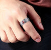Load image into Gallery viewer, Pixiu™ Tibetan lucky ring.