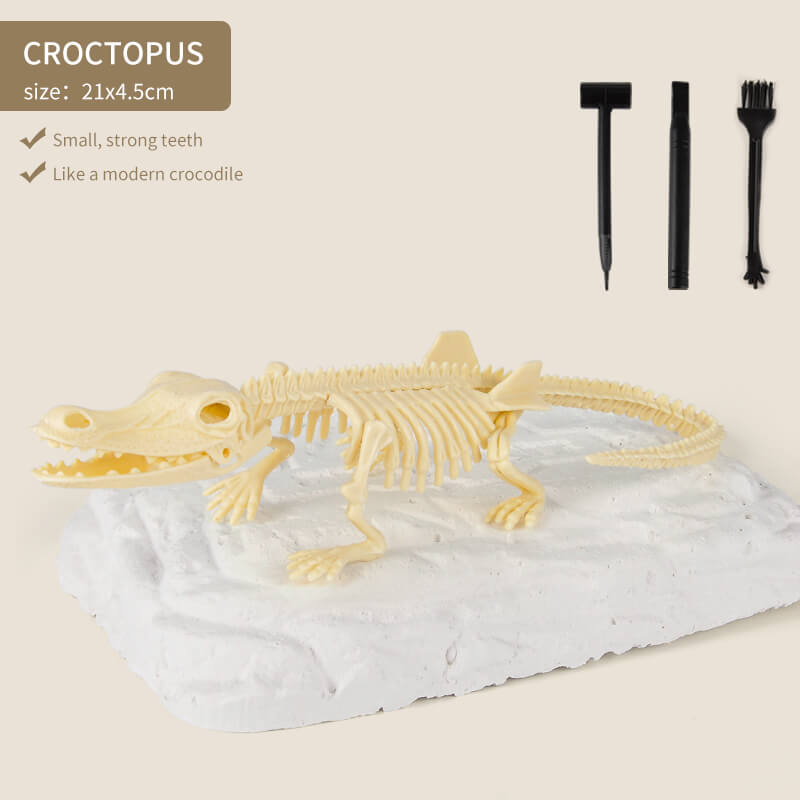 Great Educational Toy for Kids🎁2022 New Arrival Dinosaur Fossil Digging Kit