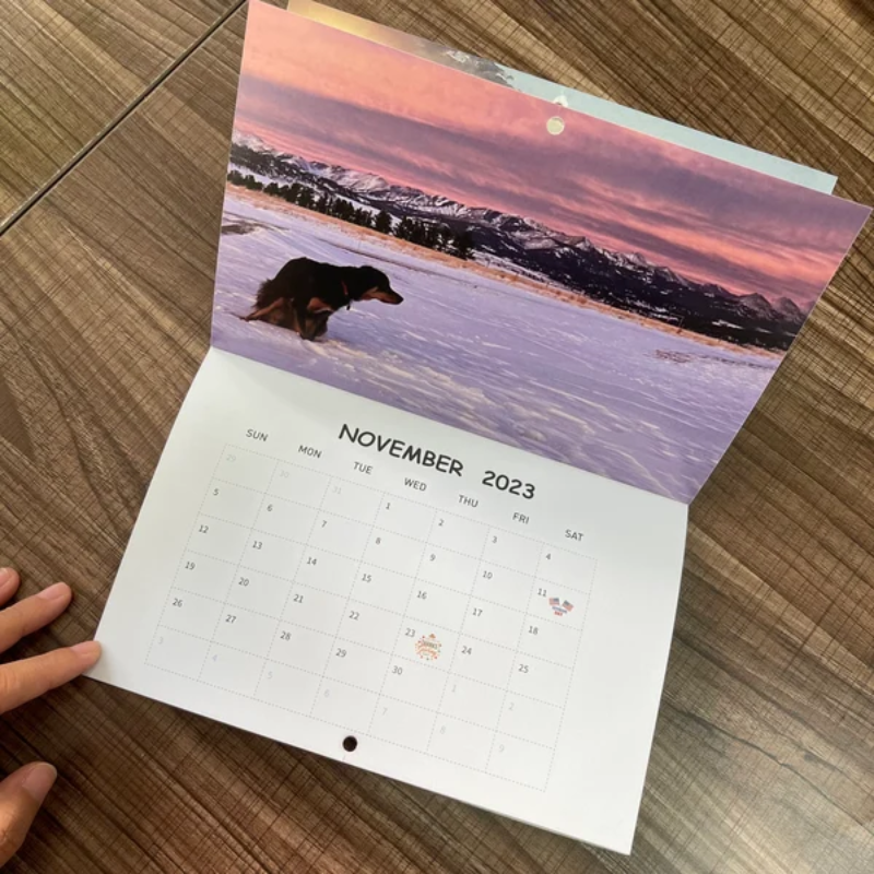 Funny Calendar Gift - Pooping Pooches Dog Calendar