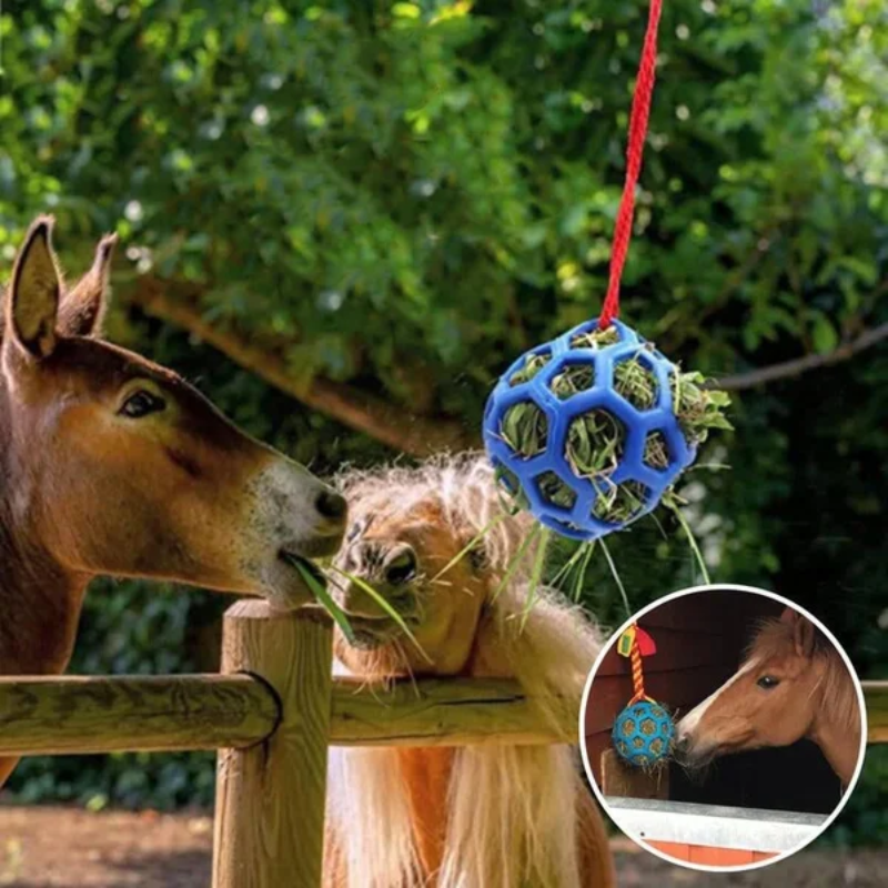 Horse Treat Ball