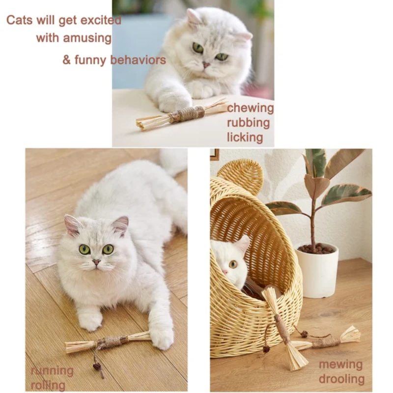 Silvervine Sticks For Cats
