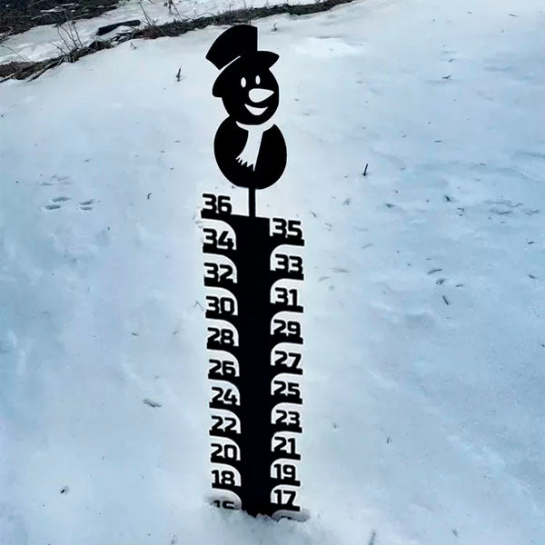 Cold™ Iron Art Snow Gauge