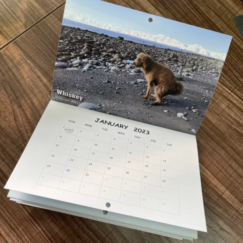 Funny Calendar Gift - Pooping Pooches Dog Calendar