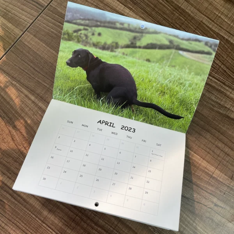 Funny Calendar Gift - Pooping Pooches Dog Calendar
