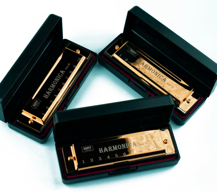 The Harmonica In C Key With Case