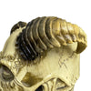 Load image into Gallery viewer, Mask Skull Horn Devil Halloween