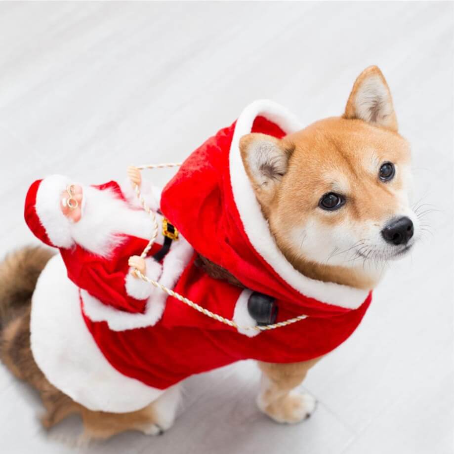 Santa Claus Pet Clothing