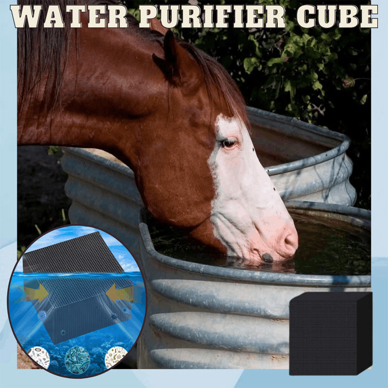 Water Purifier Cube.